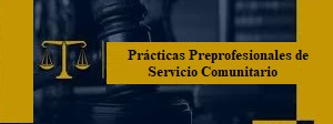 PRÁCTICAS PREPROFESIONALES DE SERVICIO COMUNITARIO