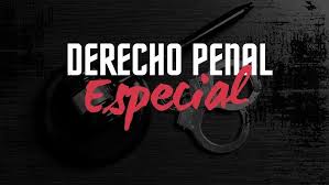 DERECHO PENAL ESPECIAL